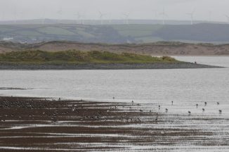 Next step for project to protect birdlife of Taw Torridge Estuary